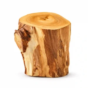 Note olfactive Bois de santal