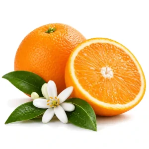 Note olfactive Orange